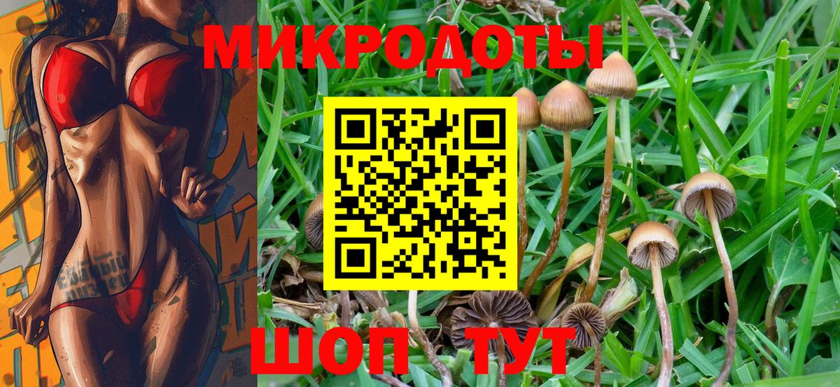 Псилоцибиновые грибы Magic Shrooms  Вход с VPN  Алексин 